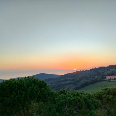 Vista Sulle Isole Dell'Arcipelago Toscano Nibbiaia Zimmer foto